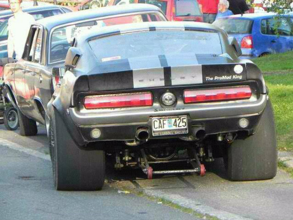 சுவாரஸ்யமான படங்கள்