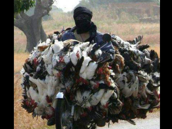 சுவாரஸ்யமான படங்கள்