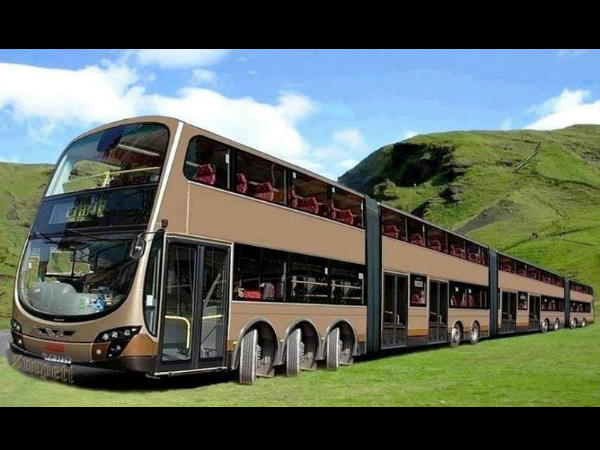 சுவாரஸ்யமான படங்கள்