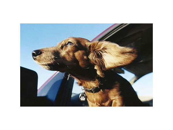  ஜன்னலுக்கு வெளியே...