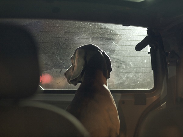 வெளிச்சம் அவசியம்