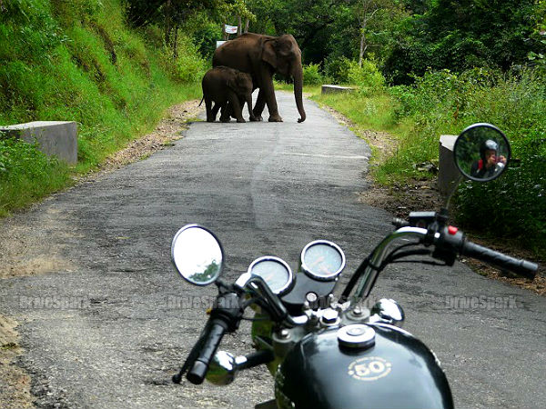 வானிலை வானிலை