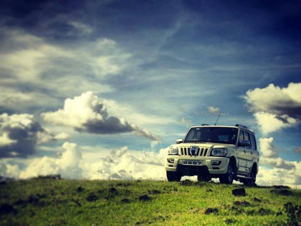 மாடல்கள்