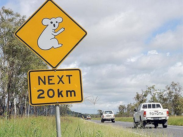 சுவாரஸ்யமான சாலை எச்சரிக்கை பலகைகள்