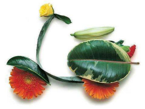 சுவாரஸ்ய படங்கள்