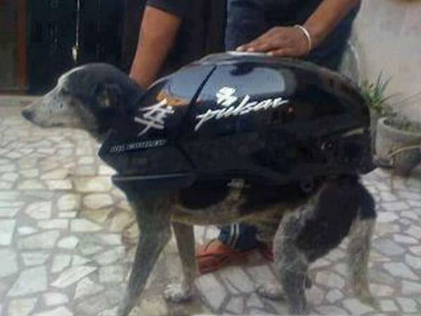 சுவாரஸ்ய படங்கள்