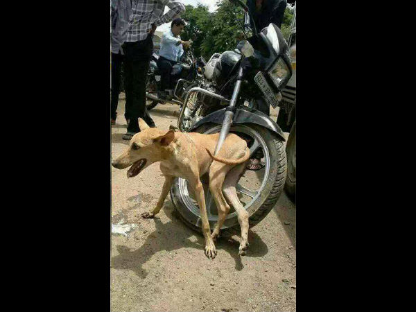 சுவாரஸ்யமான ஆட்டோமொபைல் படங்கள்