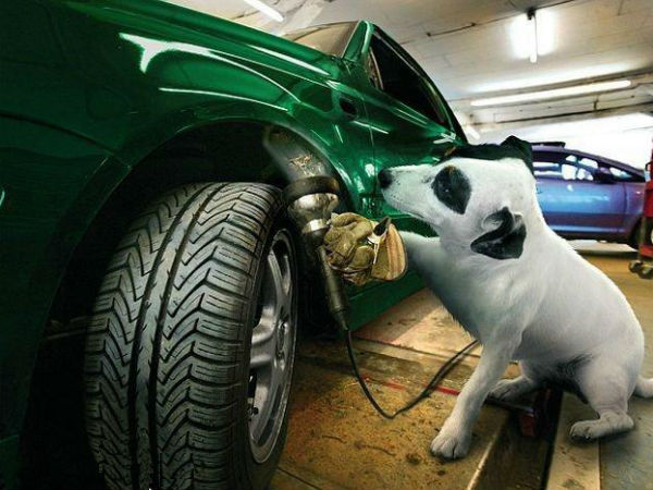 சுவாரஸ்ய படங்கள்