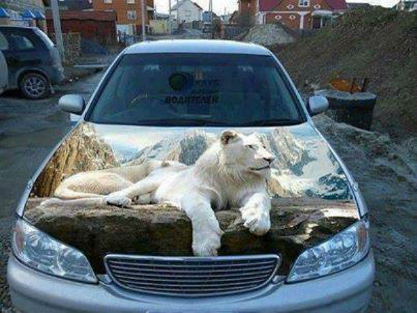 சுவாரஸ்யமான ஆட்டோமொபைல் படங்கள்