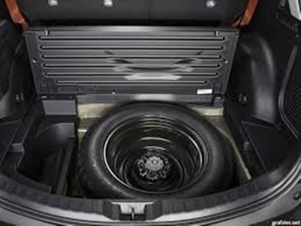 ஸ்டெப்னி