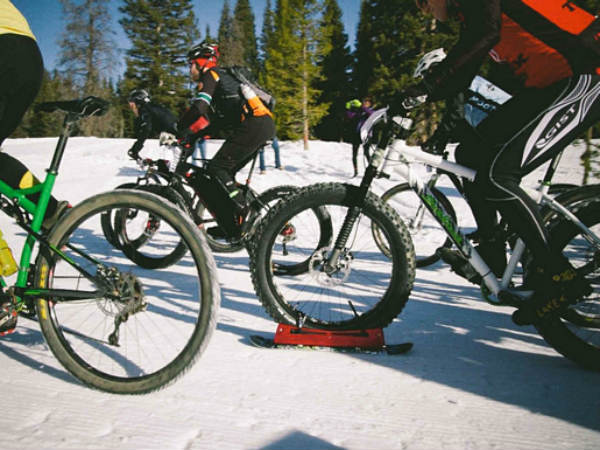 ஸ்கேட்டிங் போர்டு