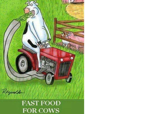 டிரைவ்ஸ்பார்க் சுவாரஸ்யங்கள்