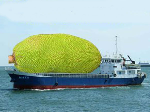 டிரைவ்ஸ்பார்க் சுவாரஸ்யங்கள்