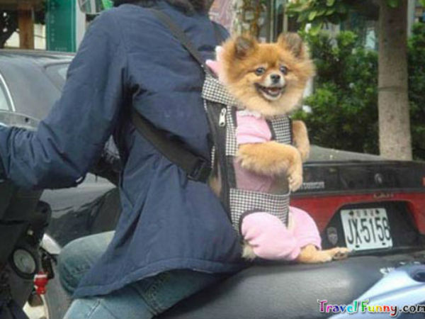 சுவாரஸ்யமான ஆட்டோமொபைல் படங்கள்