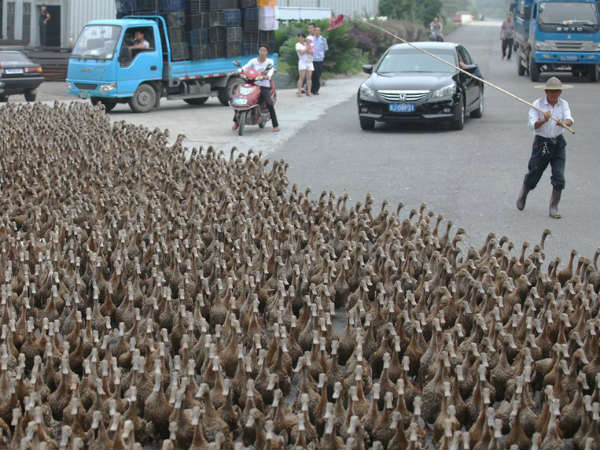 சுவாரஸ்யமான ஆட்டோமொபைல் படங்கள்