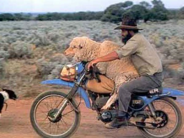 சுவாரஸ்யமான ஆட்டோமொபைல் படங்கள்