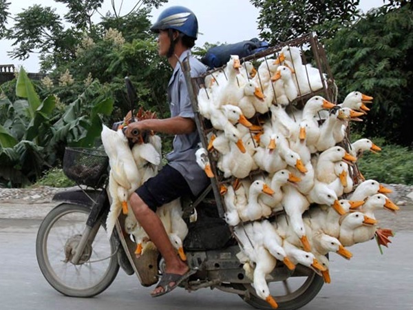 இந்த பாரம் போதுமா... இன்னும் கொஞ்சம் வேணுமா?!