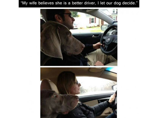 சுவாரஸ்யமான படங்கள்