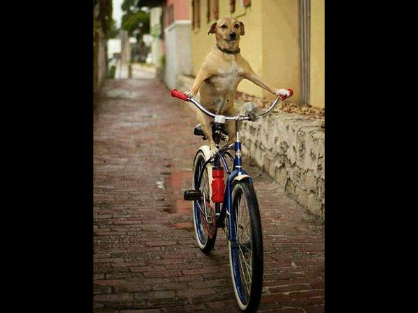 சுவாரஸ்யமான படங்கள்