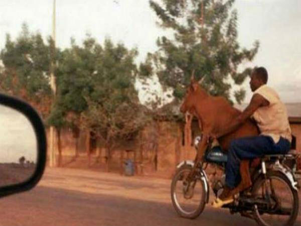 சுவாரஸ்யமான படங்கள்