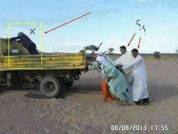 சுவாரஸ்யமான படங்கள்