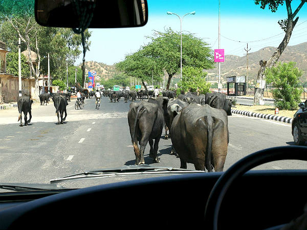 இது இந்தியாப்பா...