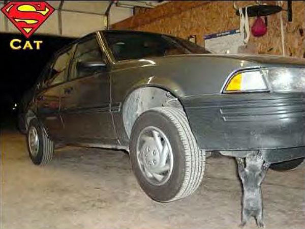 சுவாரஸ்யமான ஆட்டோமொபைல் படங்கள்