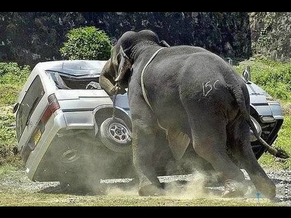 சுவாரஸ்யமான படங்களின் தொகுப்பு