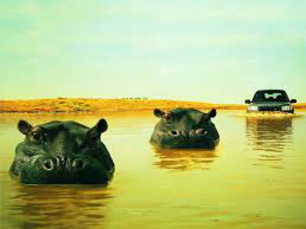 சுவாரஸ்யமான படங்களின் தொகுப்பு