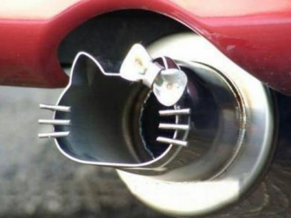 சுவாரஸ்ய படங்களின் தொகுப்பு