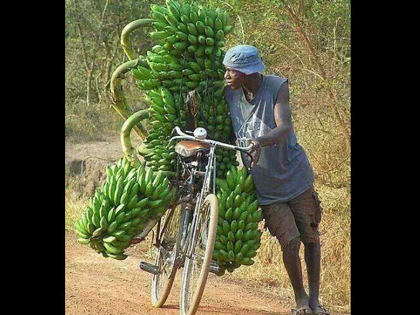 சுவாரஸ்ய படங்கள்