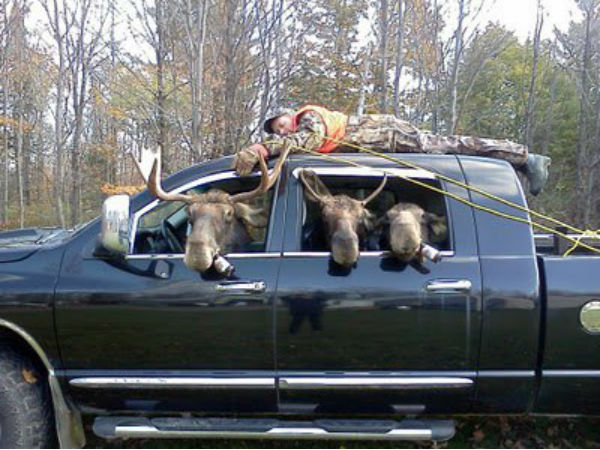 சுவாரஸ்ய படங்கள்