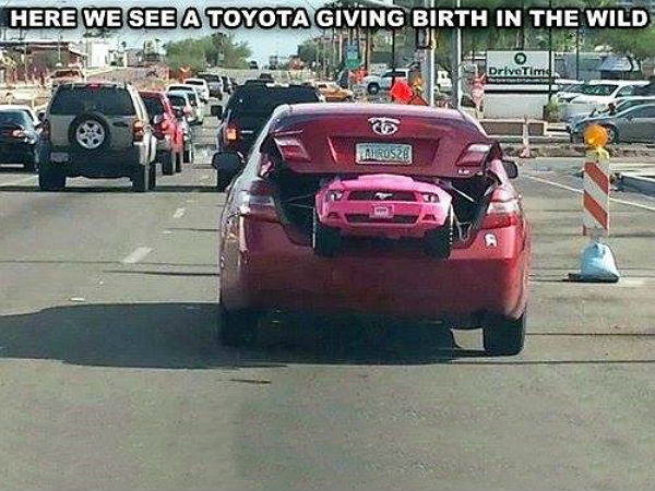 சுவாரஸ்ய படங்கள்