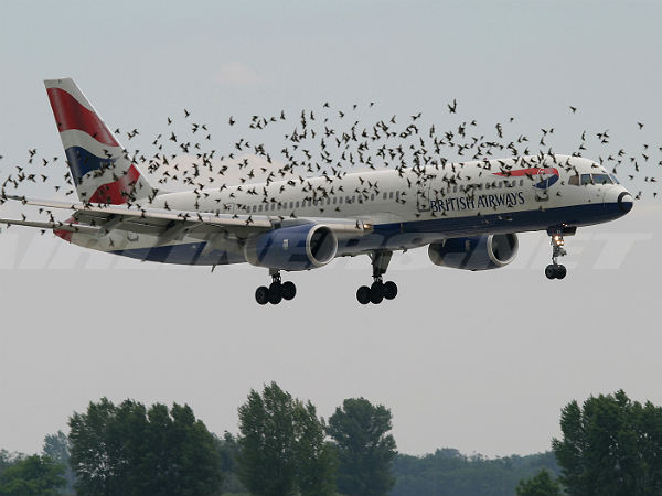 சுவாரஸ்யமான விமான புகைப்படங்களின் தொகுப்பு