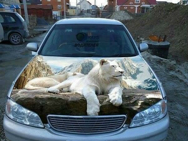 ரசிக்க வைக்கும் கார் ஓவியங்கள்