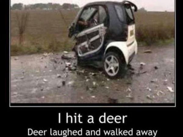 சுவாரஸ்யமான படங்களின் தொகுப்பு