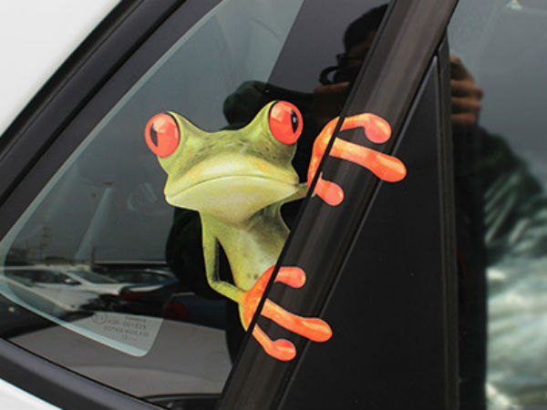 சுவாரஸ்யமான படங்களின் தொகுப்பு