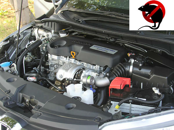 எளிய வழிமுறைகள் எளிய வழிமுறைகள்