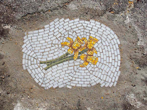 ரோடு போடுவாங்களா சார்?