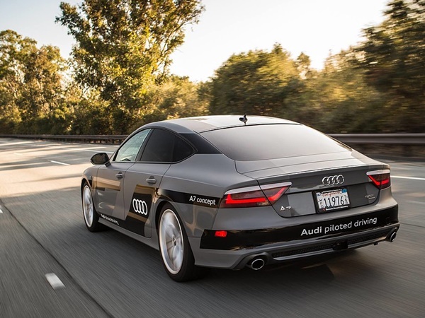 நகரத்திற்கு ஒவ்வாது