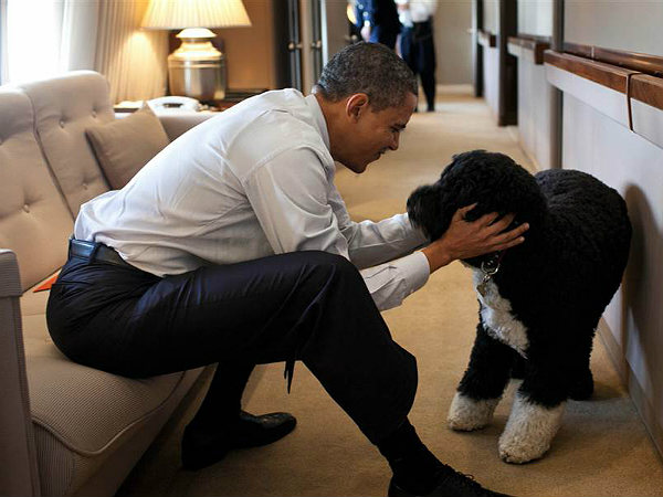 அணுகுண்டு தாக்குதல் அணுகுண்டு தாக்குதல்