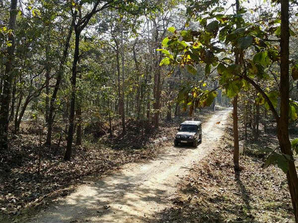 டிரைவ்ஸ்பார்க் டீம்