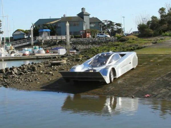 02.சீ லயன்