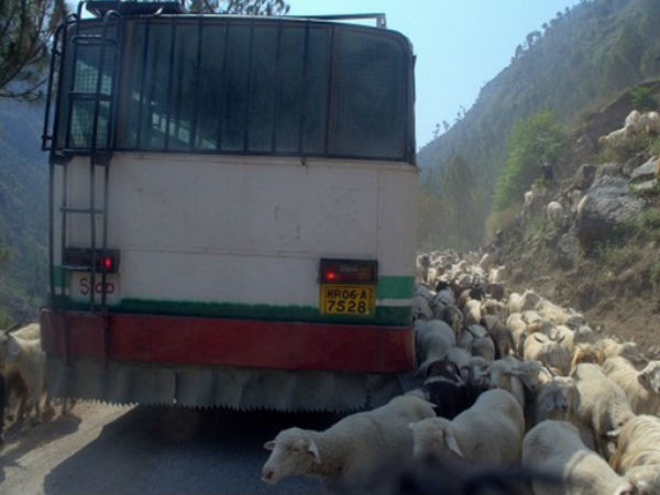 இவர்கள்தான் இந்தியாவின் சிறந்த பஸ் ஓட்டுனர்கள்!