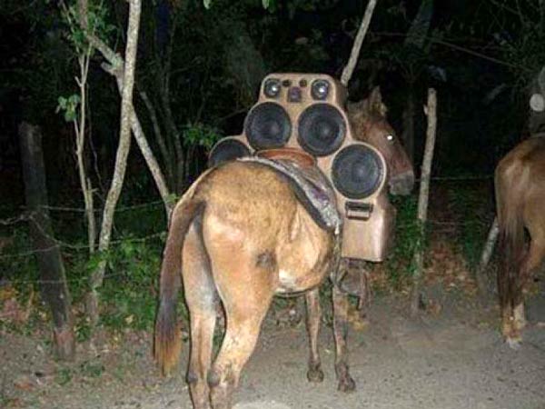 சுவாரஸ்யமான கார் ஆடியோ சிஸ்டம் படங்கள்