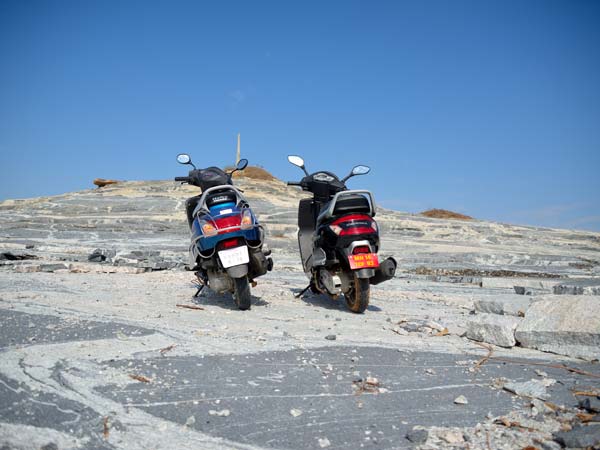 03. பின்புற டிசைன்