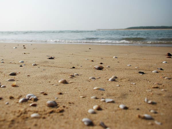  13. திருச்சோபுரம்