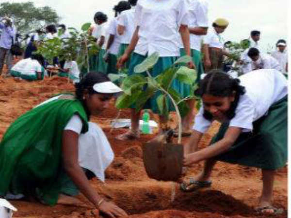 12. இது உங்கள் சொத்து...