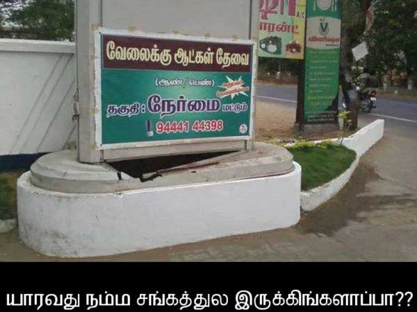 சுவாரஸ்ய படங்களின் தொகுப்பு