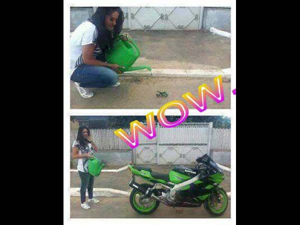 சுவாரஸ்ய படங்களின் தொகுப்பு